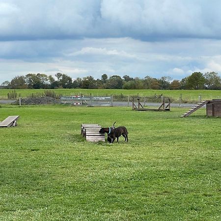 Gulfhaus Alte Meesterei Manslagt Zewnętrze zdjęcie
